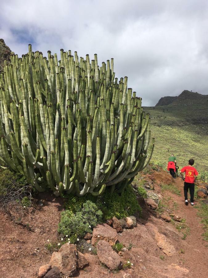 Casa Manel, La Gomera San Sebastián de la Gomera Zewnętrze zdjęcie